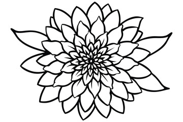 Detailed Flower Outline Illustration Intricate Petal Design, Blooming Floral Art, Isolated Image