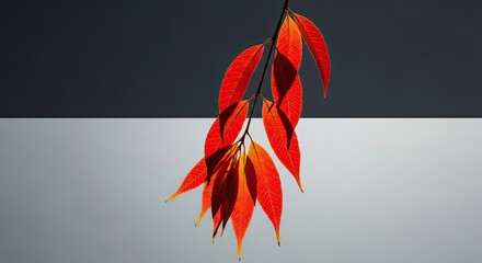 Vibrant Red Autumn Leaves Against Gradient Background