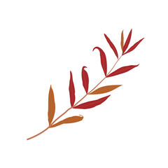 Twig with leaves on white background.