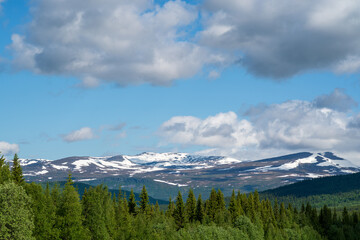 Fototapeta premium Swedish wilderness and mountains in July.