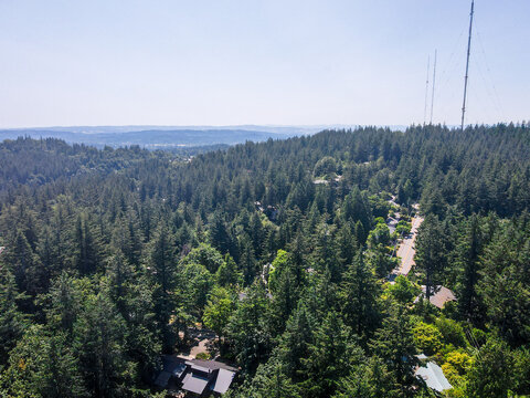 Aerial landscape of Portland forest park nature view on sunny summer day in Oregon PNW