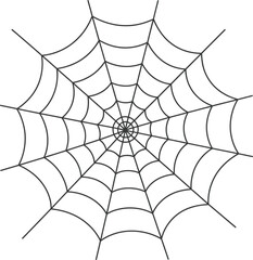 Fototapeta premium Detailed black spiderweb illustration with delicate lines on transparent background silhouette