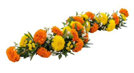 Marigold Toran, Marigold. isolated