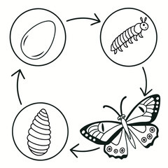 The set illustration features a seamless vector pattern of colorful fruits and berries, leaves, and flowers, perfect for summer design