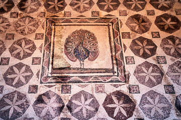 Geometric pattern with a peacock on the floor mosaic of an ancient house in Paphos