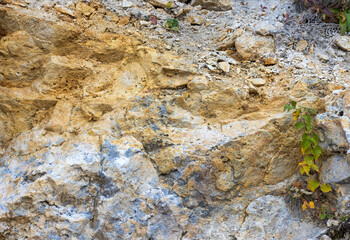 A fragment of limestone rock on a section of a stone canyon on an autumn day