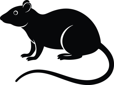 Rat silhouette vector art illustration