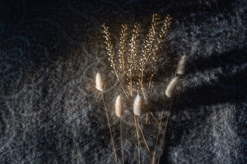 Dried flowers lie on a blanket in the darkness, illuminated by the rays of the dawn sun.