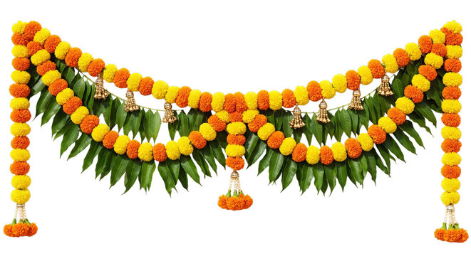 Marigold flower, Marigold toran. Marigold. isolated on a white Background
