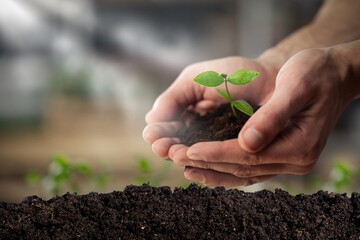 Dark soil on green nature background