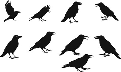 Crow silhouette vector set, flying raven clipart, black bird poses, wildlife illustration, spooky animal shapes, Halloween design elements, isolated icons