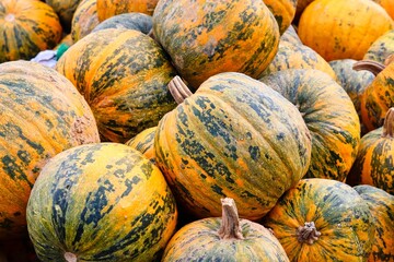 bunte Kürbisse im Herbst