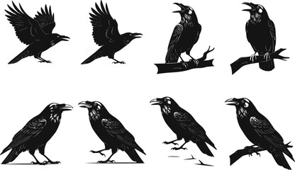 Raven silhouette vector, flying raven, perched bird, black crow illustration, wildlife clipart, bird pose collection, nature animal graphic set