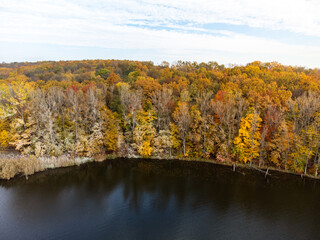 Aerial drone view of autumn forest beside lake with colourful foliage and dry branches