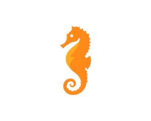 Stylized Illustration of a Sea Horse in a Vibrant Orange Hue on a Plain field