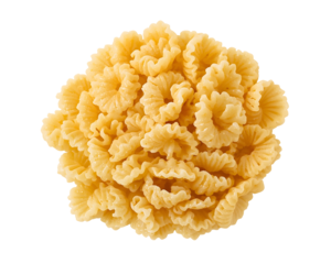 Radiatore pasta forming a textured floral arrangement for culinary designs and gastronomy