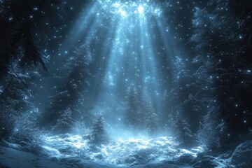 Snow-covered forest under starlit sky.