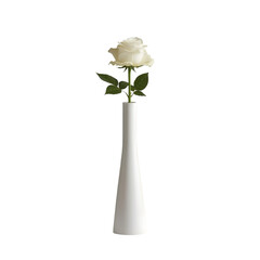 white rose in white vase