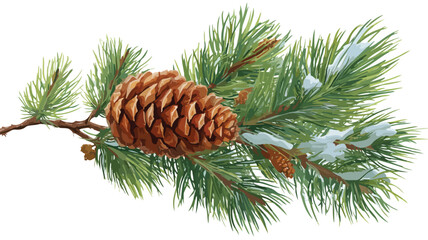 Elegant Evergreen Fir Branch with Pine Cone for Christmas Winter Nature 