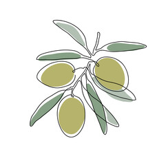 Olive branch. Modern single line art drawing. Continuous line drawing. Outline draw design color vector illustration