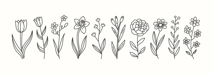 An elegant collection of minimalist hand-drawn outline floral and botanical illustrations.