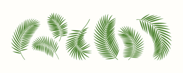 A vibrant collection of green tropical palm leaves creates a refreshing natural motif.