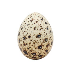 Speckled Quail Egg
