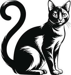 Elegant black cat sitting gracefully with a curled tail on transparent background silhouette