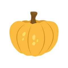 Ripe yellow round pumpkin isolated on a white background. Autumn food. Vector flat illustration.