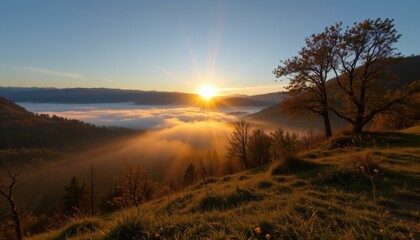 sunrise breaking through heavy fog over valley, radiant golden beam cutting across landscape, majestic cinematic realism.