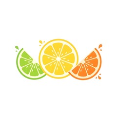 Fresh Citrus Splash – Lime, Lemon, and Orange Minimalist Illustration
