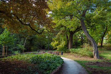 Złota jesień w parku &ndash; alejki, liście i spok&oacute;j natury