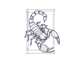 Obraz premium Mystical Scorpio Zodiac Sign Illustration Set with Celestial and Botanical Elements. Astrological Scorpion Tattoo Design