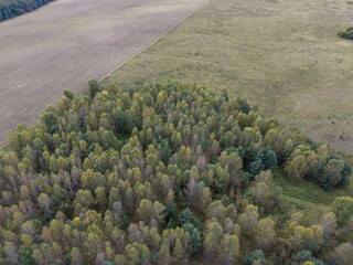 Dzikie krajobrazy jesienią widziane z lotu ptaka © hunter76