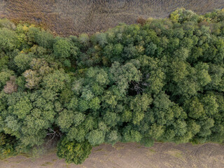 Dzikie krajobrazy jesienią widziane z lotu ptaka © hunter76