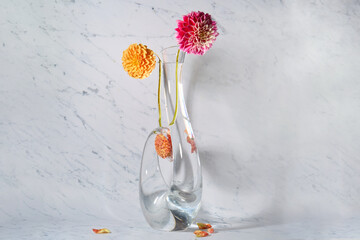 Pair of pink and orange dahlias in tall glass vase

