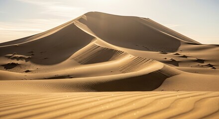 Vast Sand Dunes Underneath a Warm Golden Sun