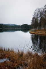 Fototapeta premium Quiet Lake Shoreline with Bare Birch Trees and a Distant Boat on a Foggy Autumn Day