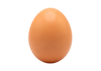 A single brown egg isolated on transparent background