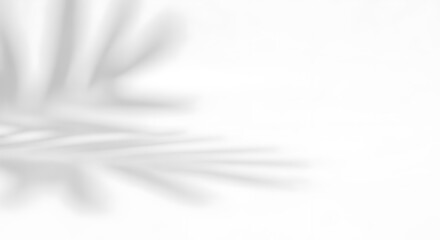 Fototapeta premium Shadow play: The delicate silhouette of a palm frond casts a soft shadow, a symbol of serenity and elegance, evoking feelings of calm and natural beauty.