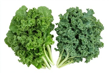Two Bunches of Fresh Kale, Isolated on White Background, Healthy Eating Concept