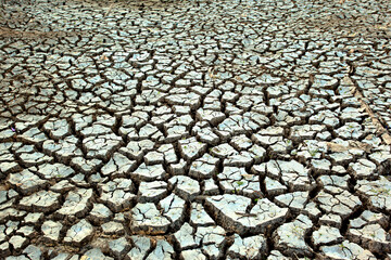 Parched Ground and Cracked Earth Landscape Highlighting Drought and Arid Soil Conditions in Dry...