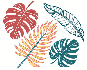 set of feathers vector