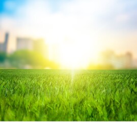 Beautiful green nature meadow background