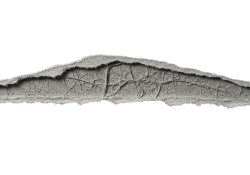 A dynamically torn edge of thick, light grey paper, showcasing raw fibrous interior, delicate micro-fibers, isolated on a light grey background, macro. Concept of intricate natural textures