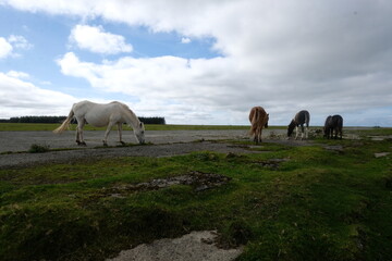 Davidstow world war 2 airfield cornwall uk 