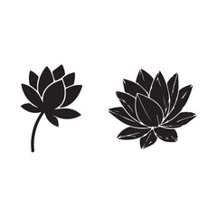 Vector art of two lotus flowers, a symbol of purity, love, and rebirth in buddhism