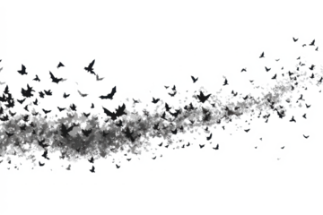 Flock of bats in flight dark silhouette on white background vector illustration for Halloween designs