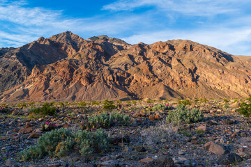 Fototapeta premium Striped Desert Mountains at Golden Hour with Shadowed Foreground, Hole in the Wall Road, Death Valley National Park