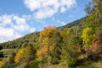 autumn in the mountains